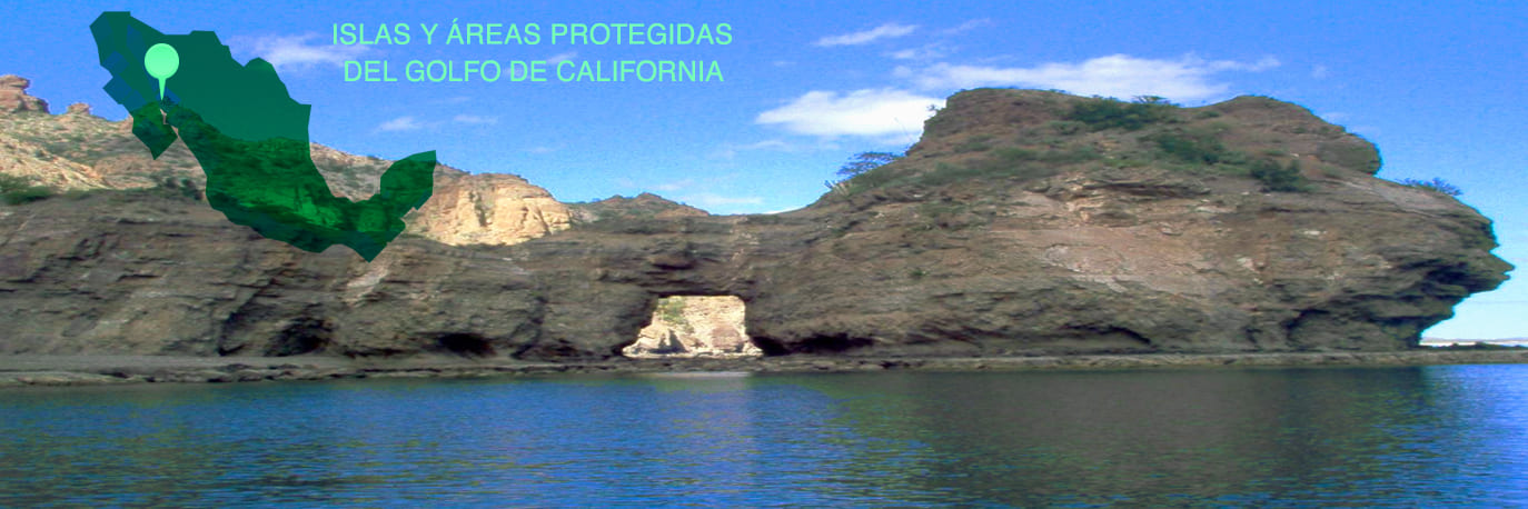 islas-y-areas-protegidas-del-golfo-de-california